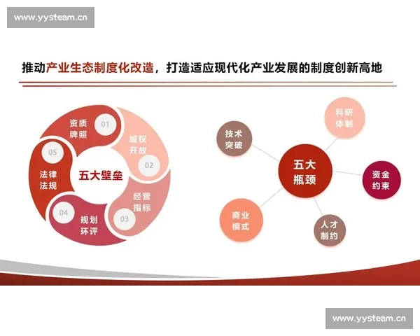 武术剑文化传承与实战技法演进的历史脉络研究探索精神内涵与现代发展路径分析